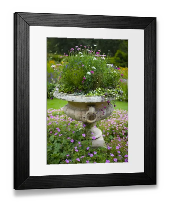 Framed Print : England, Northumberland, Wallington Hall and Walled Gardens. Stone flowerpot with an arrangement of flowering plants in
