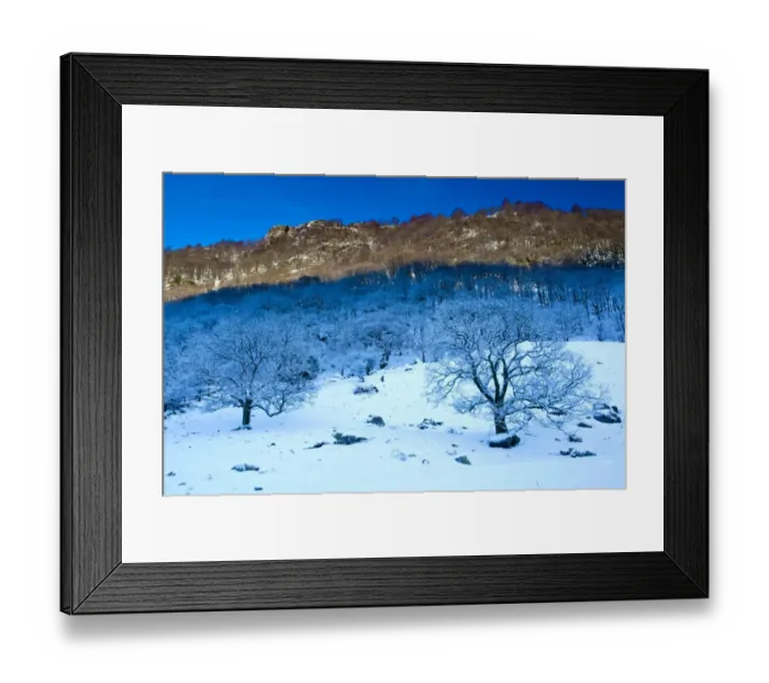 Framed Print : England, Cumbria, The Lake District. Snow covered trees in the Stonethwaite Valley Framed Print : England, Cumbria, The Lake District. Snow covered trees in the Stonethwaite Valley
