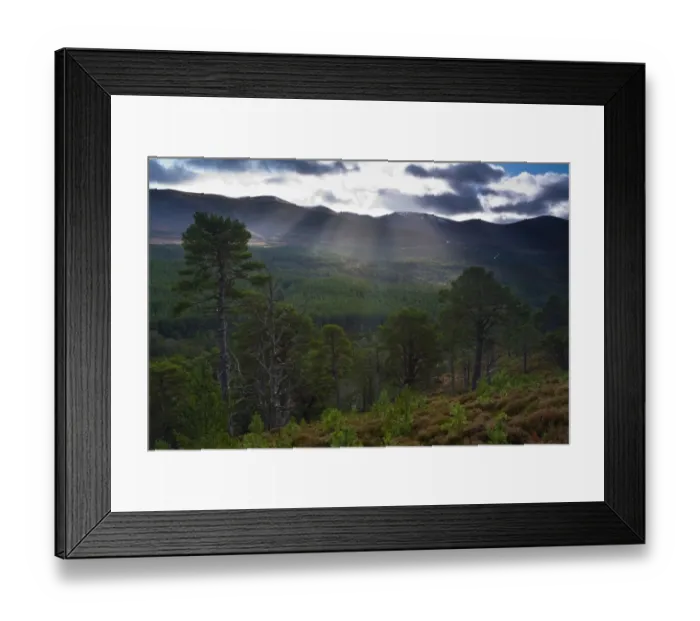 Framed Print : Scotland, Scottish Highlands, Cairngorms National Park. Scattered shafts of light above the Glenmore Forest Park and the Cairngorm