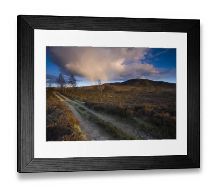 Framed Print : Scotland, Scottish Highlands, Cairngorms National Park. Vehicle track running through open moorland near