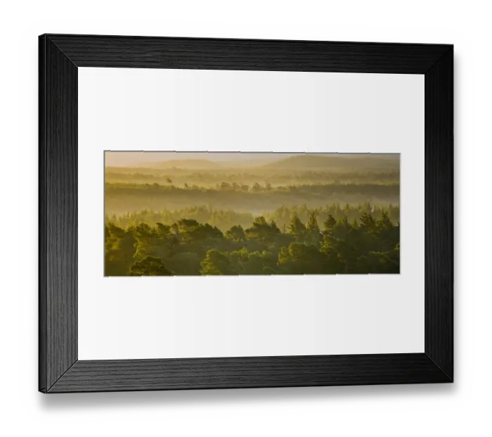 Framed Print : Scotland, Scottish Highlands, Cairngorms National Park. Mist rising at dawn over the Caledonian Forest of the Rothiemurchus estate, in the Cairngorms Framed Print : Scotland, Scottish Highlands, Cairngorms National Park. Mist rising at dawn over the Caledonian Forest of the Rothiemurchus estate, in the Cairngorms