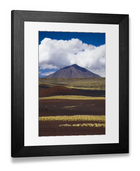 Framed Print : Argentina, Mendoza, Parque Provincial Payunia. The barren volcanic landscape of the reserve Framed Print : Argentina, Mendoza, Parque Provincial Payunia. The barren volcanic landscape of the reserve