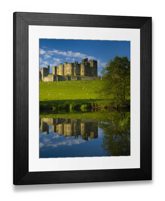 Framed Print : England, Northumberland, Alnwick. Alnwick Castle reflected in the still waters of the River Aln