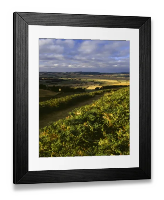 Framed Print : ENGLAND, Northumberland, Northumberland National Park. View from Cheviot hills near the town of Wooler, towards