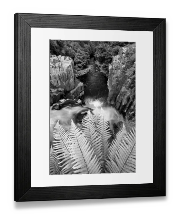Framed Print : Waterfall Ferns