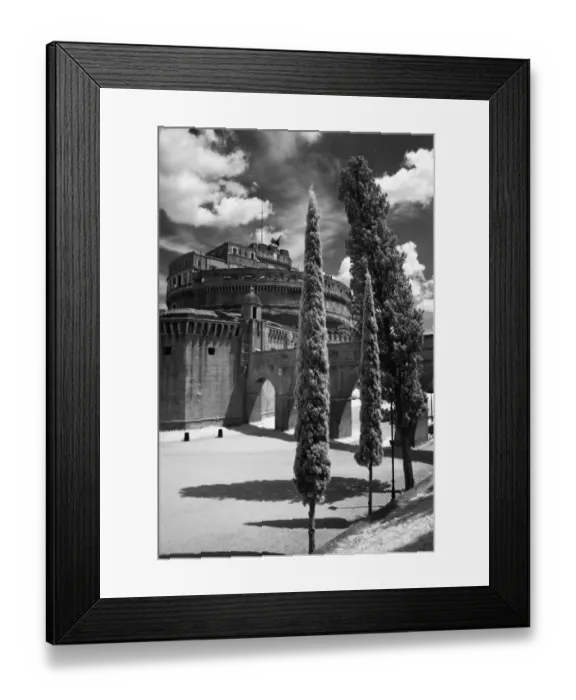 Framed Print : Castle Trees