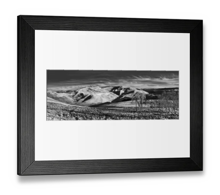 Framed Print : Border View Framed Print : Border View