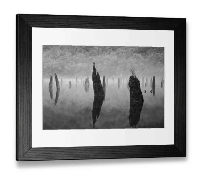Framed Print : New Zealand, Southland, Fiordland National Park