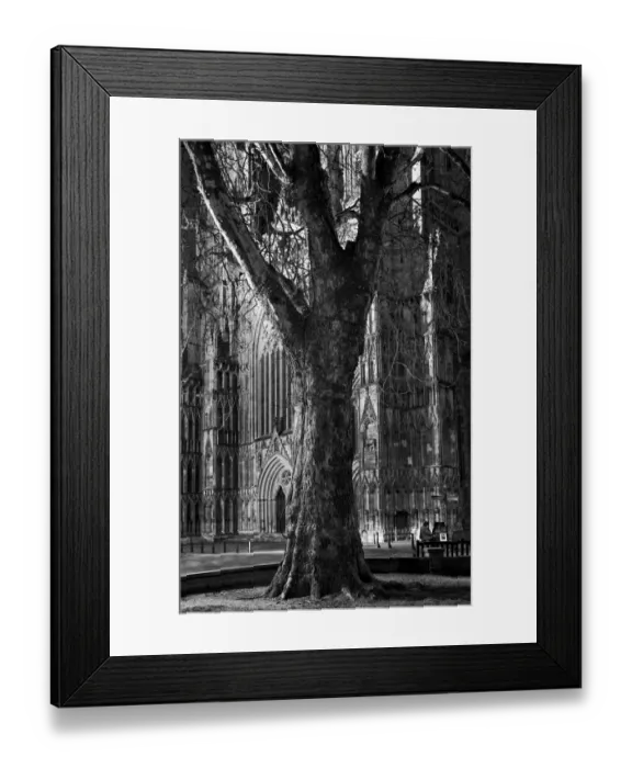 Framed Print : England, North Yorkshire, York City