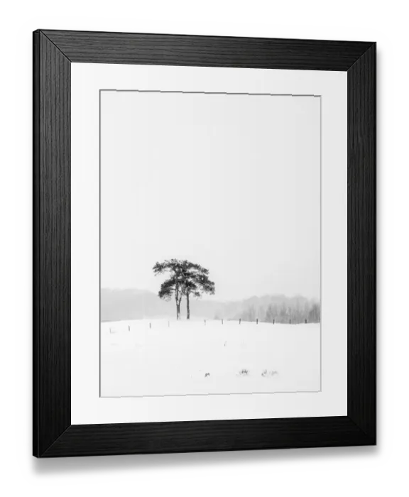 Framed Print : England, Northumberland, Tynedale