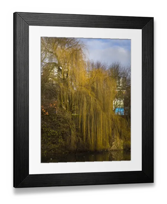 Framed Print : England, West Midlands, Stourbridge Canal Framed Print : England, West Midlands, Stourbridge Canal