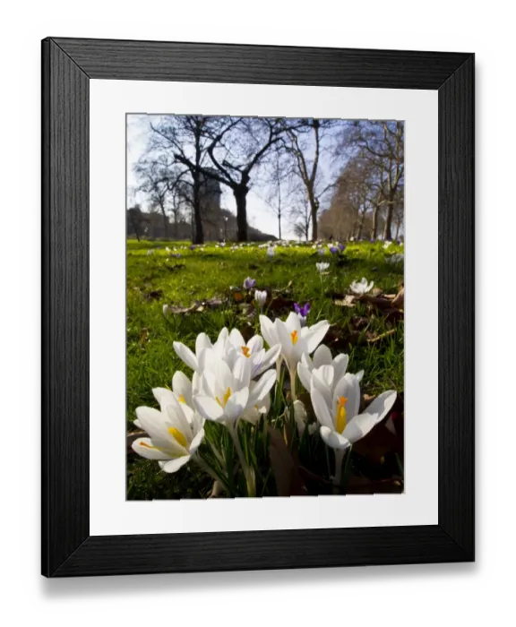 Framed Print : England, London, Hyde Park