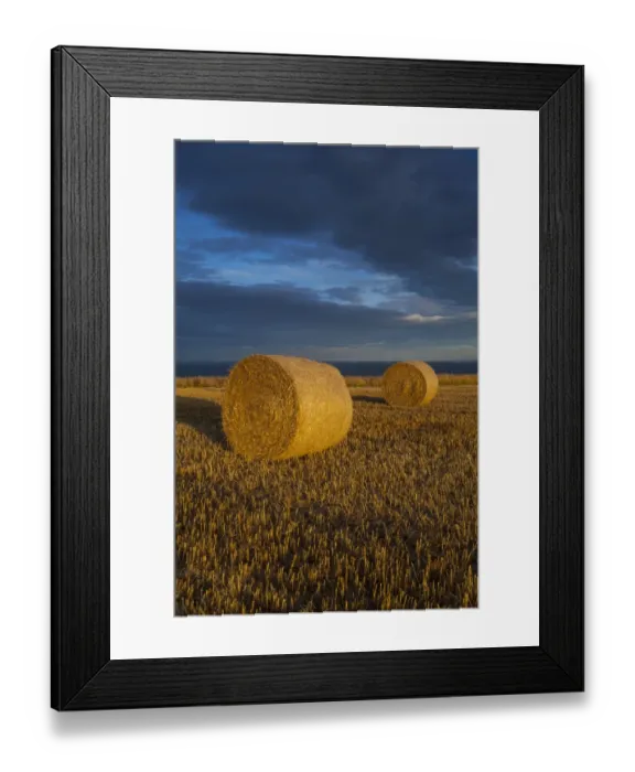 Framed Print : England, North Yorkshire, Scarborough