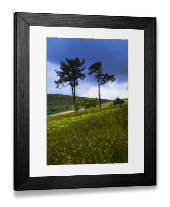 Framed Print : England, Northumberland, Northumberland National Park