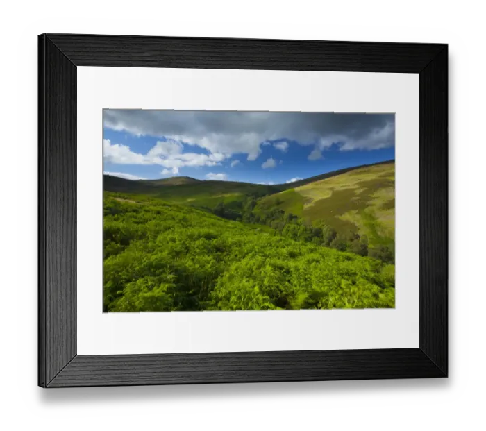 Framed Print : England, Northumberland, Northumberland National Park