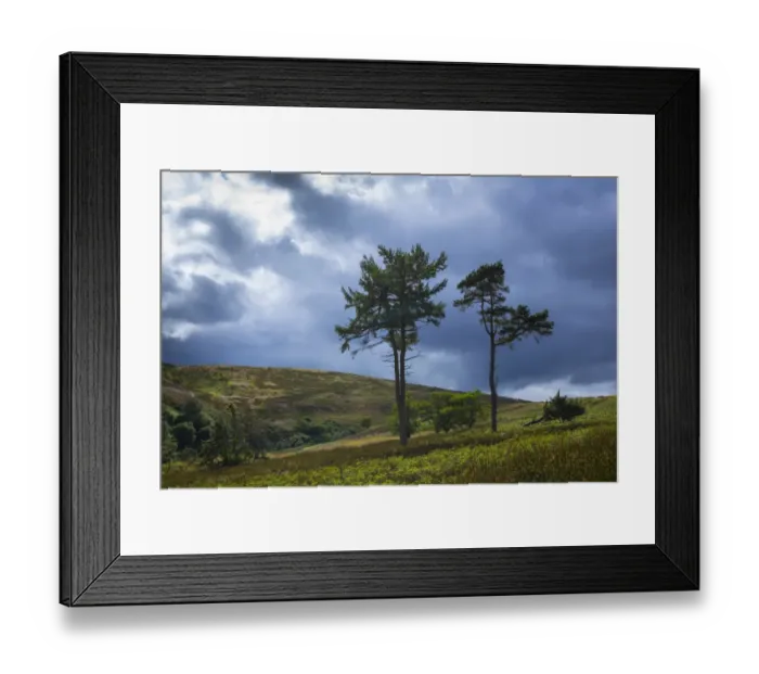 Framed Print : England, Northumberland, Northumberland National Park