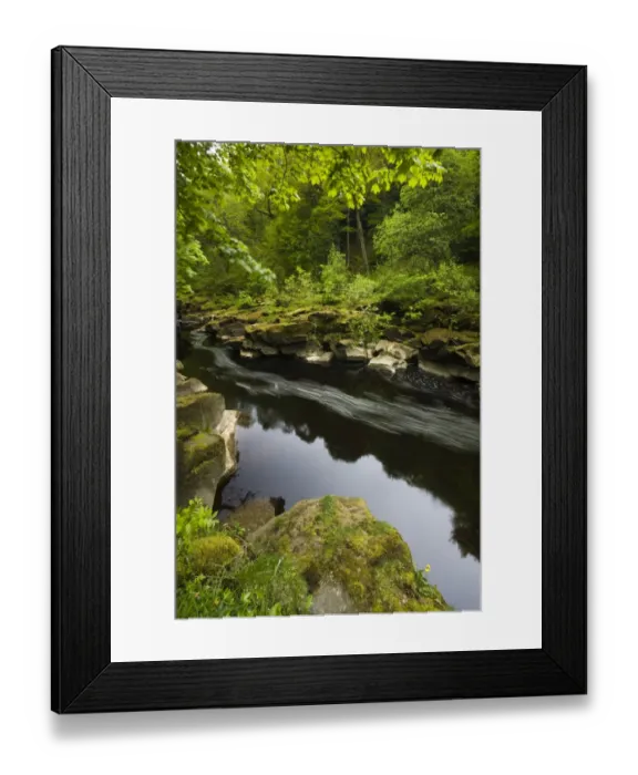Framed Print : England, Yorkshire, Yorkshire Dales National Park Framed Print : England, Yorkshire, Yorkshire Dales National Park