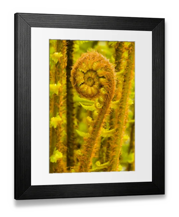 Framed Print : England, Cumbria, Lake District National Park