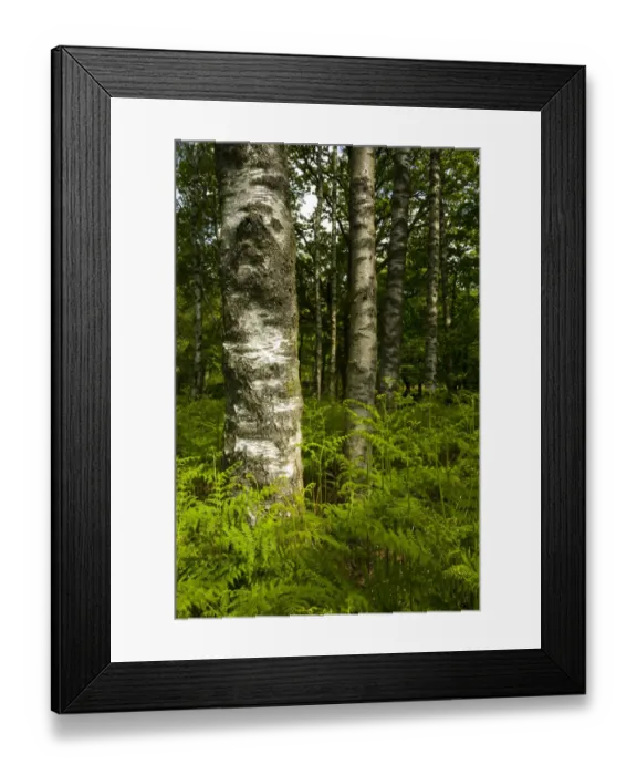 Framed Print : England, Cumbria, Lake District National Park