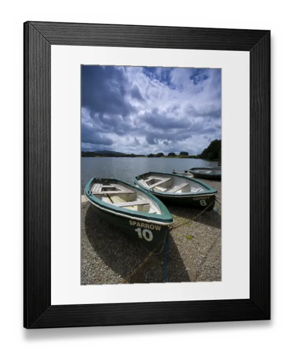 Framed Print : England, Cumbria, Talkin Tarn Country Park