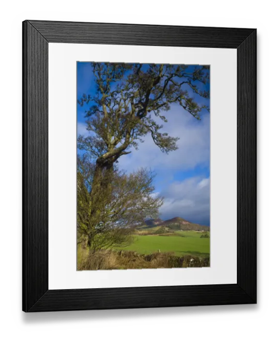 Framed Print : Scotland, Scottish Borders, Eildon Hills