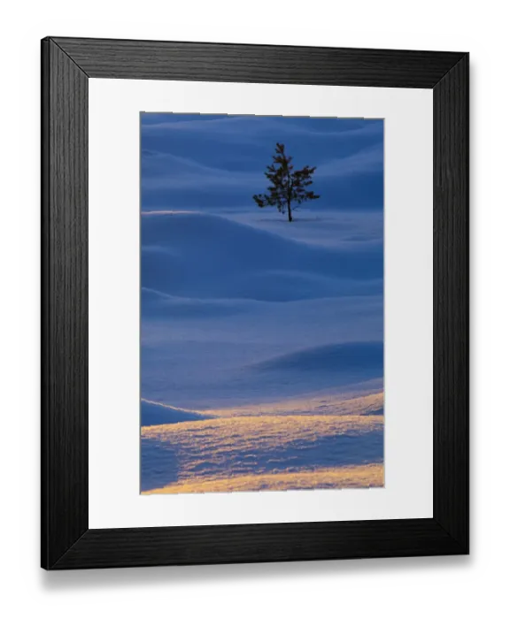 Framed Print : Scotland, Scottish Highlands, Abernethy Framed Print : Scotland, Scottish Highlands, Abernethy