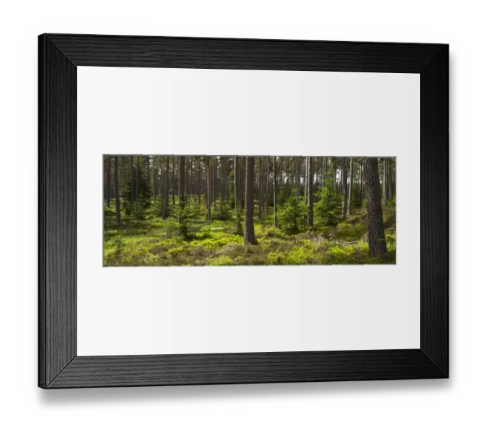 Framed Print : Scotland, Scottish Highlands, Cairngorms National Park