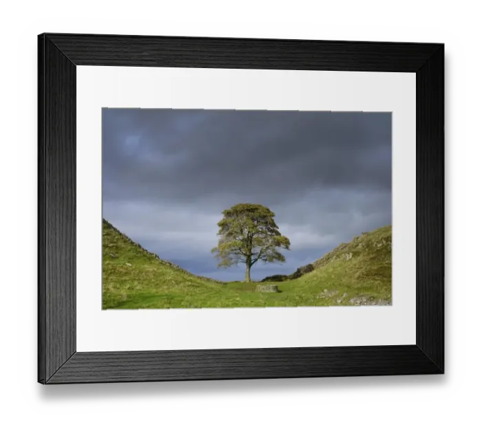 Framed Print : England. Jason Friend England