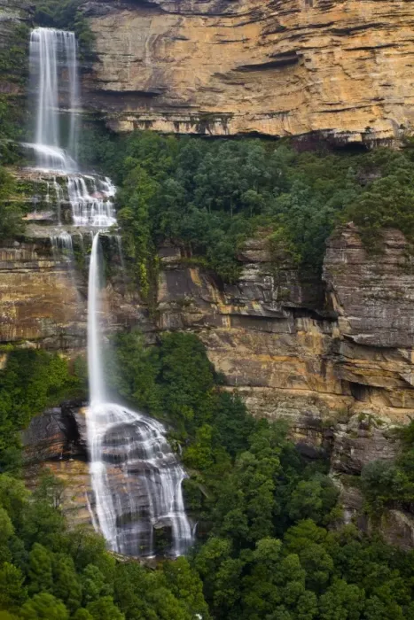Framed Print : Australia, New South Wales, Blue Mountains National Park. Katoomba Falls and native bush