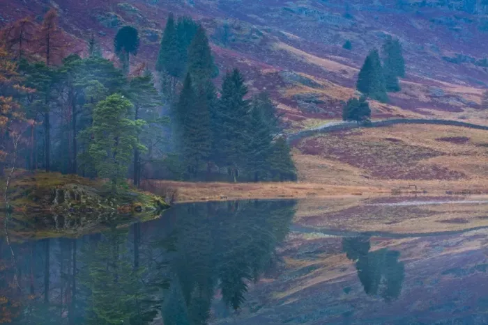 Framed Print : England, Cumbria, The Lake District. A misty dawn at Blea Tarn near Great Langdale