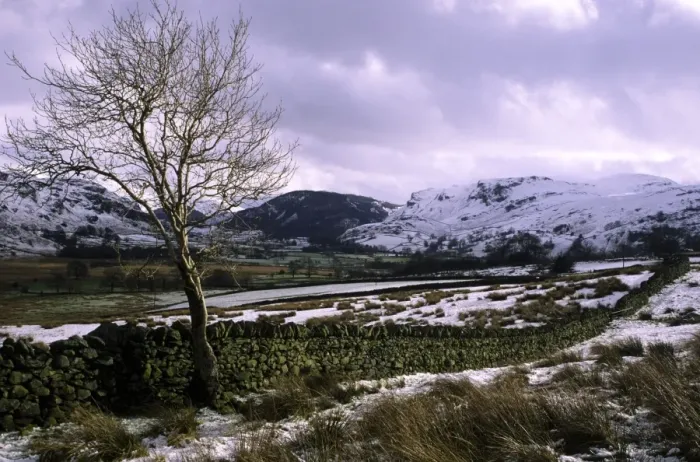 Framed Print : ENGLAND, Cumbria, Lake District National Park. A lonely tree on the farmed plains of Castlerigg Fell shortly after a Framed Print : ENGLAND, Cumbria, Lake District National Park. A lonely tree on the farmed plains of Castlerigg Fell shortly after a