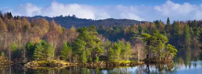 Framed Print : England, Cumbria, Lake District National Park. Mix of deciduous and evergreen trees surrounding the waters edge of Tarn Hows, a popular tourist destination once owned by Beatrix Potter and almost a totally