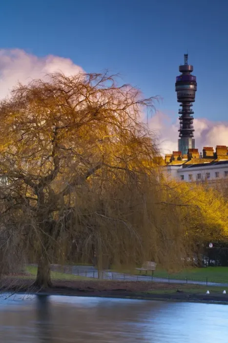 Framed Print : England, London, Regents Park. Boating Lake in Regents Park, with the iconic BT Tower Framed Print : England, London, Regents Park. Boating Lake in Regents Park, with the iconic BT Tower