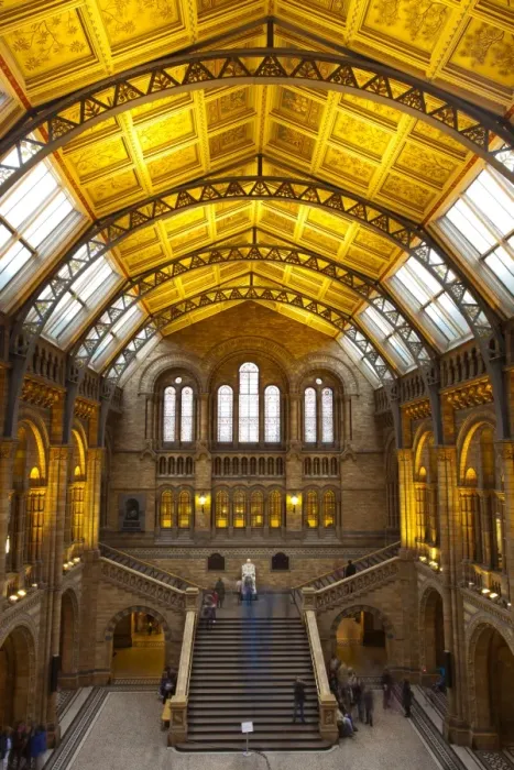 Framed Print : England, London, The Royal Borough of Kensington and Chelsea, Natural History Museum