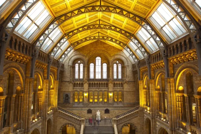 Framed Print : England, London, The Royal Borough of Kensington and Chelsea, Natural History Museum Framed Print : England, London, The Royal Borough of Kensington and Chelsea, Natural History Museum
