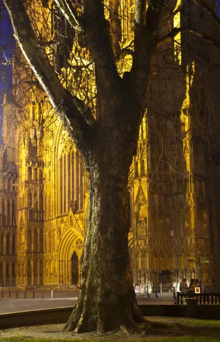 Framed Print : England, North Yorkshire, York City. Grand tree with the equally grand York Minster Cathedral in the distance, with a street busker playing a piano Framed Print : England, North Yorkshire, York City. Grand tree with the equally grand York Minster Cathedral in the distance, with a street busker playing a piano
