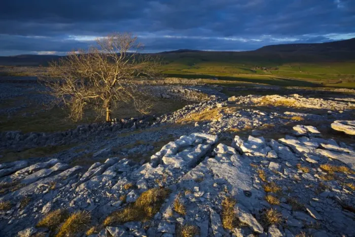 Framed Print : England, North Yorkshire, Yorkshire Dales National Park Framed Print : England, North Yorkshire, Yorkshire Dales National Park