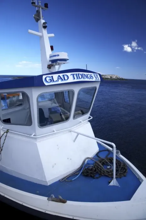 Framed Print : England Northumberland Farne Islands Glad Tidings boat trip to the Farne Islands