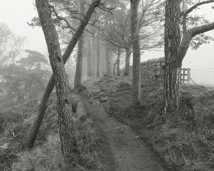 Framed Print : England, Northumberland National Park, Hadrian's Wall
