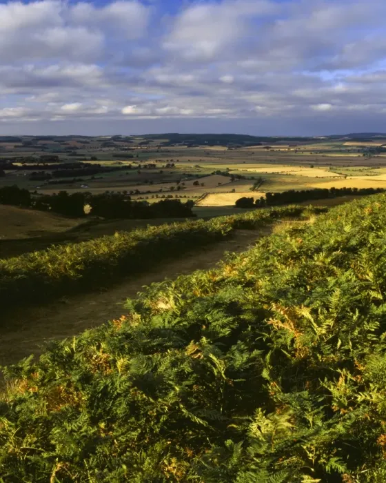 Framed Print : ENGLAND, Northumberland, Northumberland National Park. View from Cheviot hills near the town of Wooler, towards