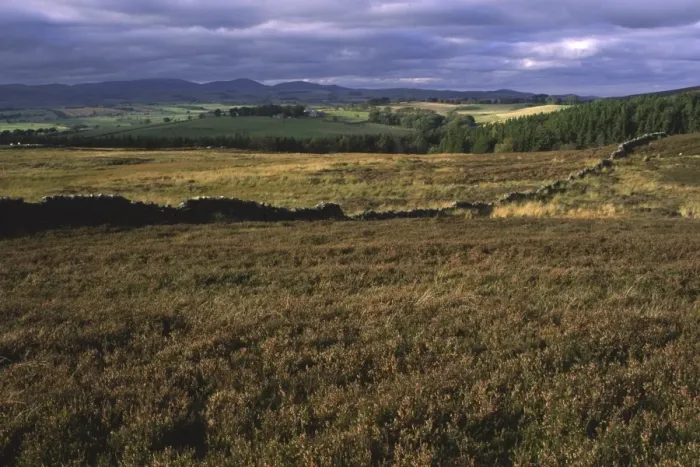 Framed Print : ENGLAND, Northumberland, Rothbury. The open moorland of the Rothbury Terraces a popular spot for local