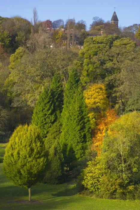 Framed Print : England, Tyne & Wear, Newcastle Upon Tyne. View looking from the Armstrong Bridge towards Jesmond Dene