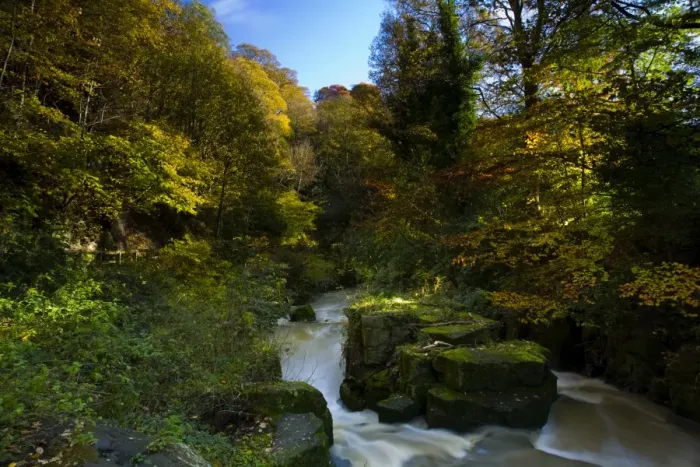 Framed Print : England, Tyne & Wear, Newcastle Upon Tyne. The Ouseburn flowing through autumnal woodland in Jesmond Framed Print : England, Tyne & Wear, Newcastle Upon Tyne. The Ouseburn flowing through autumnal woodland in Jesmond