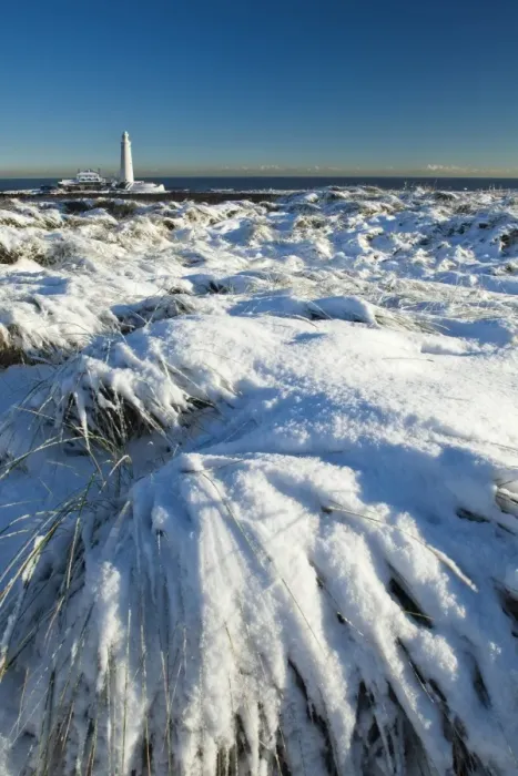Framed Print : England, Tyne and Wear, St Marys Island and Lighthouse. Snow covered Tussock grass on the North Tyneside coast near the city of Newcastle Framed Print : England, Tyne and Wear, St Marys Island and Lighthouse. Snow covered Tussock grass on the North Tyneside coast near the city of Newcastle