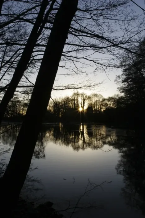 Framed Print : ENGLAND West Midlands Baggeridge Country Park A winter sunset behind the tree clad banks of one of
