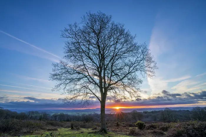 Framed Print : England, West Midlands, Kinver Edge