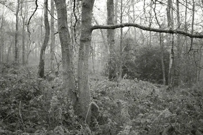 Framed Print : England, West Midlands, Kinver Edge