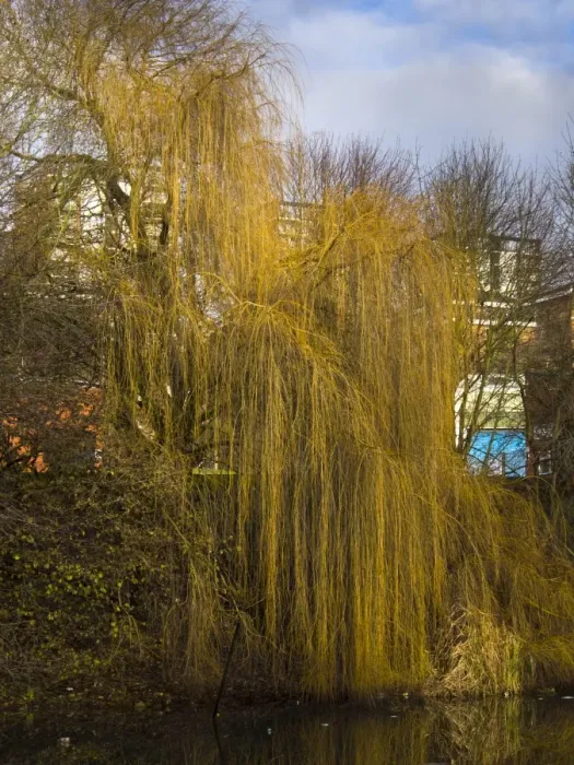 Framed Print : England, West Midlands, Stourbridge Canal Framed Print : England, West Midlands, Stourbridge Canal