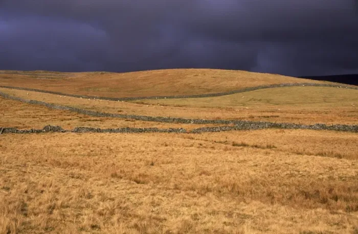 Framed Print : ENGLAND, Yorkshire, Yorkshire Dales National Park. A shaft of sun illuminates a field