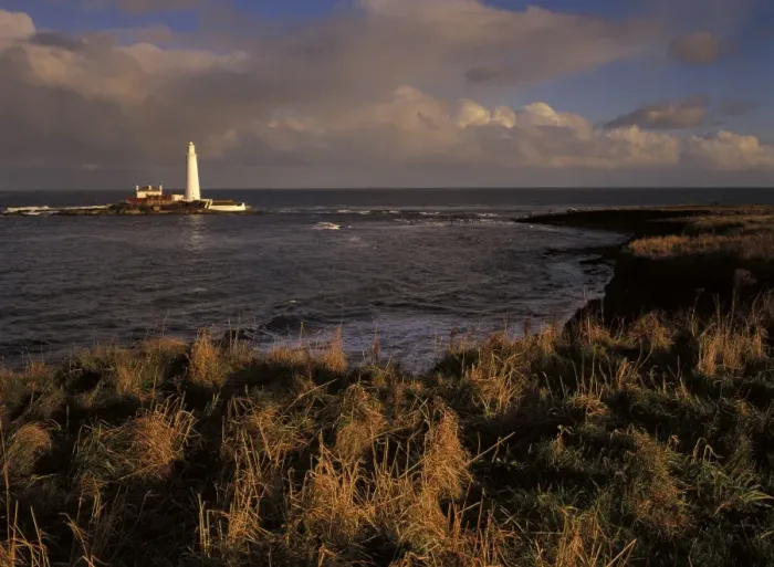 Framed Print : Late afternoon light bathes the coastline of the North Tyneside Coast near Whitley Bay